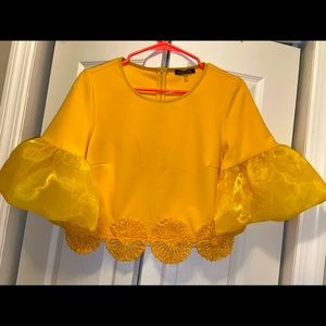 Organza Bell Sleeved Crop Top with Crotchet Trim